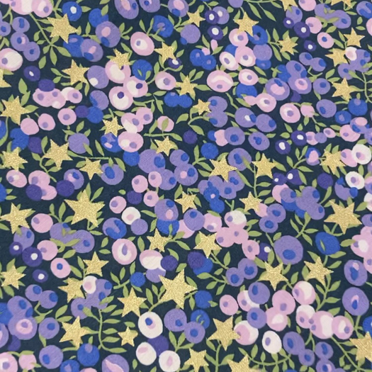 (u'Tissu Liberty WILTSHIRE STARS B',)